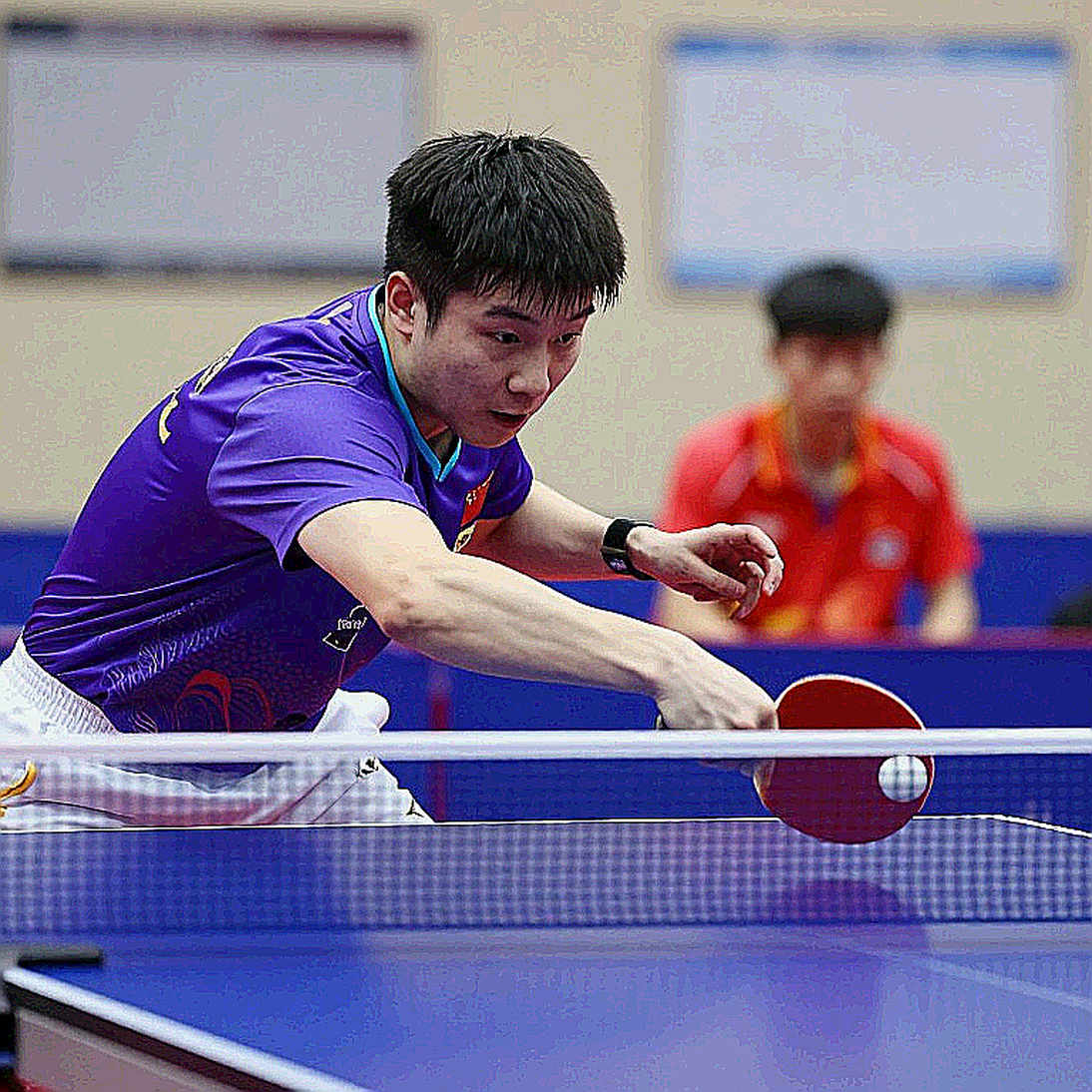 Mạch máu bên trong một pha bóng bàn Việt Nam