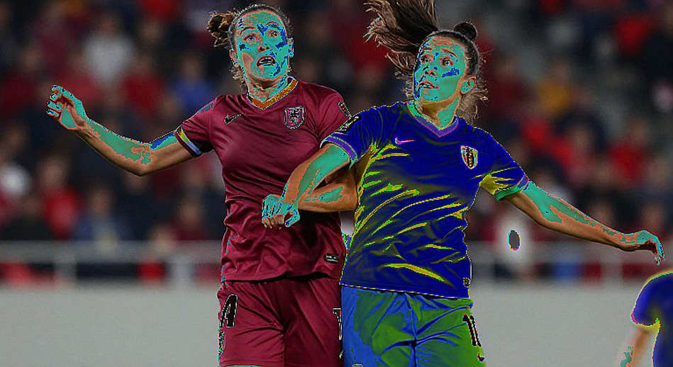 A Misapplied 'Football' Label: Notes from One Data Verification Case A Misapplied 'Football' Label: Notes from One Data Verification Case