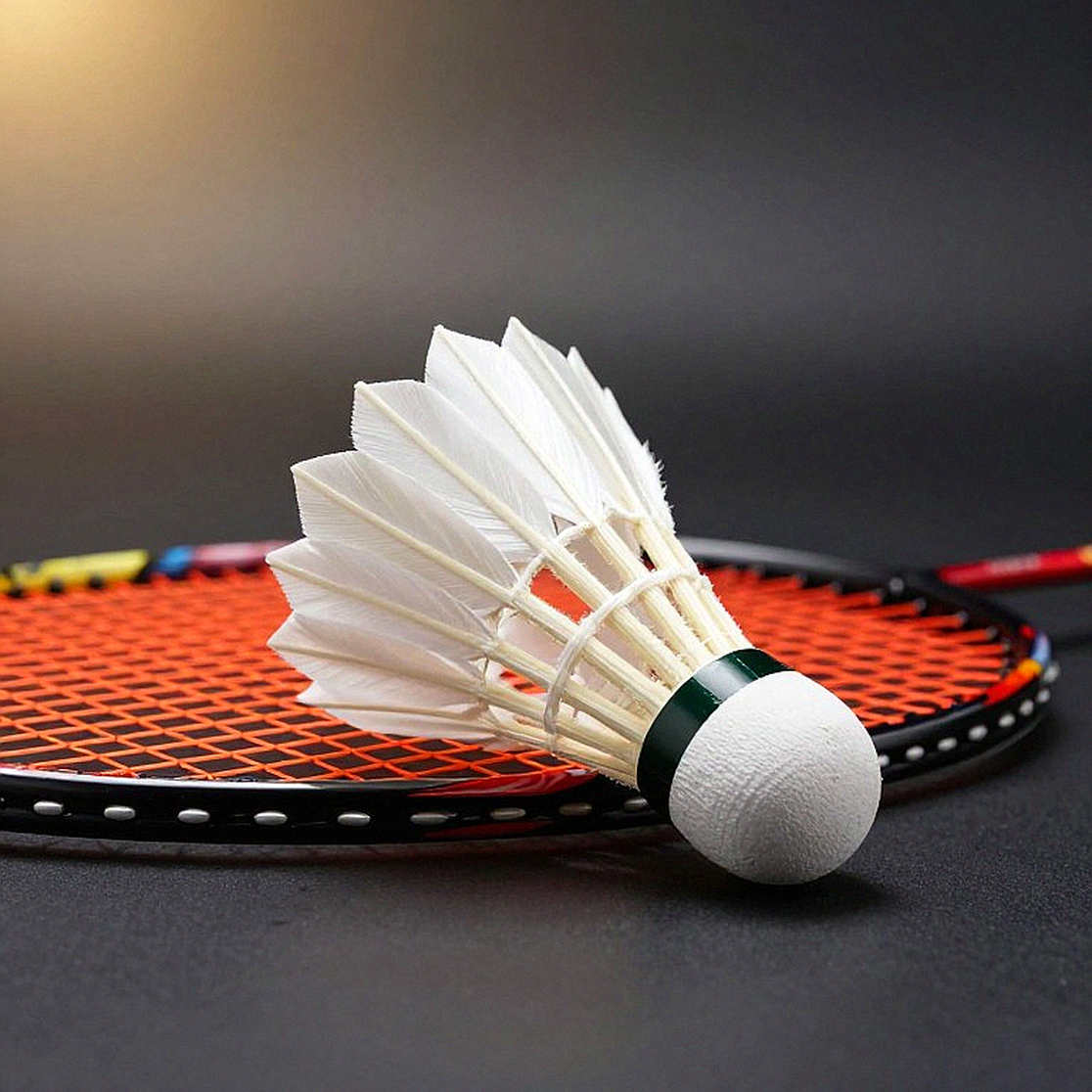 Sindhu gặp An Se Young ở chung kết Pháp Mở rộng 2026: bản án 0-10 và một ngày mới Sindhu gặp An Se Young ở chung kết Pháp Mở rộng 2026: bản án 0-10 và một ngày mới