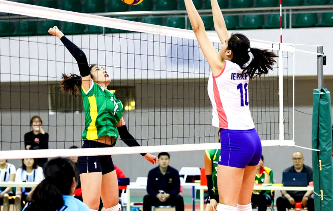 Khi bản phân tích nói 'không có dữ liệu': Bài học về sự trung thực trong thể thao Việt Nam